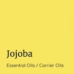 Jojoba Oil - Carrier Oils - Believe Botanicals